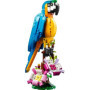 LEGO Creator 3-en-1 31136 Le Perroquet Exotique. Figurines Animaux de la 35,99 €