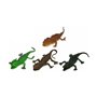 animaux Reptiles Lot 25 x 18 cm 27,99 €