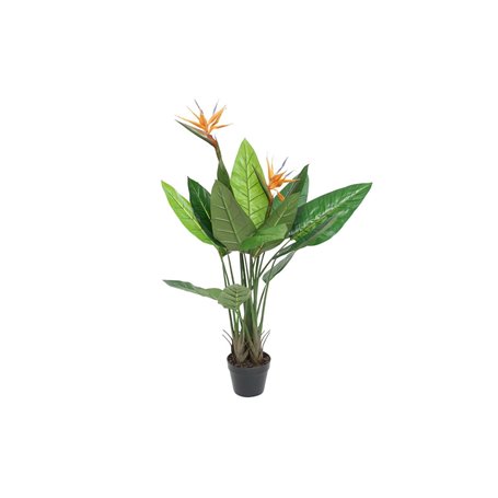 Plante décorative DKD Home Decor (80 x 80 x 120 cm) 177,99 €