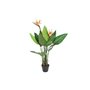 Plante décorative DKD Home Decor (80 x 80 x 120 cm) 177,99 €