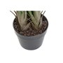 Plante décorative DKD Home Decor (80 x 80 x 120 cm) 177,99 €
