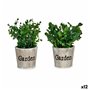 Plante décorative Plastique 16 x 22 x 16 cm (12 Unités) 140,99 €