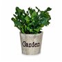 Plante décorative Plastique 16 x 22 x 16 cm (12 Unités) 140,99 €