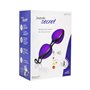 Boules Chinoises Violet Joyballs Secret Duo Joydivision 500500163 27,99 €