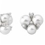 Boucles d´oreilles Femme Majorica 15725.01.2.000.010.1 119,99 €