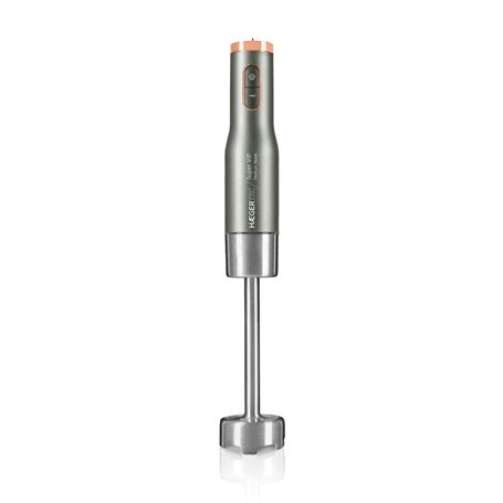 Mixeur plongeant Haeger HB-80G.026A Gris 800 W 62,99 €
