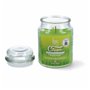 Bougie Magic Lights 8030650530505 Citronnelle 510 ml 41,99 €