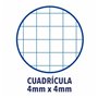 Cahier Oxford Multicouleur A4 5 Unités 32,99 €