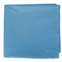 Sac Fixo Plastique Déguisement Bleu clair 65 x 90 cm (25 Unités) 45,99 €
