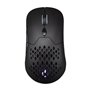 Souris Hiditec GX30 PRO Noir