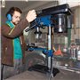 SCHEPPACH Perceuse a colonne d'établi 550W DP16SL