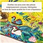 Puzzle en bois - Rectangulaire - 500 pcs - Jardin de la nature - Adult