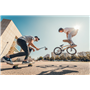 X-Stick Perche télescopique Crosscall