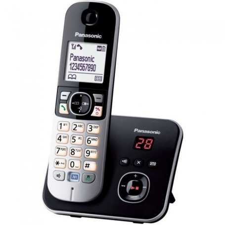 Téléphone Sans Fil Panasonic KX-TG6821FRB Noir Gris