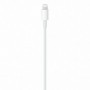 Câble USB-C vers Lightning Apple mm0A3ZM/A 1 m Blanc