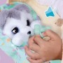 IMC Toys Baby Paws IM917644 jouet interactif