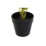 Plante décorative DKD Home Decor PVC polypropylène 25 x 25 x 30 cm