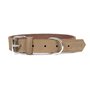 Collier pour Chien Gloria Oasis Beige (1,2 x 35 cm)