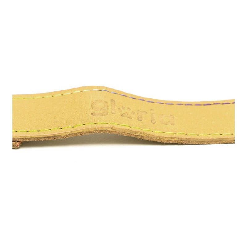 Image secondaire de Laisse pour Chien Gloria Oasis 1.5 x 100 cm Jaune