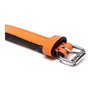 Collier pour Chien Gloria Rembourré Orange (35 x 1,5 cm)