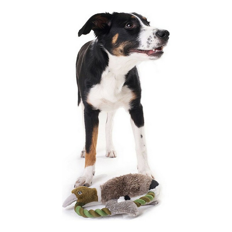 Image secondaire de Jouet pour chien en peluche Hunter Wildlife Train Avec corde Canard (26 cm)