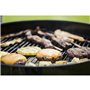 Barbecue Weber E-4710 Acier émaillé