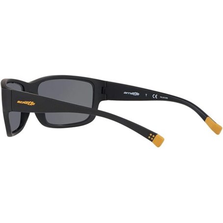 Lunettes de soleil Unisexe Arnette BUSHWICK AN 4256