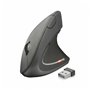 Souris Optique Ergonomique Trust 22879 Noir