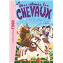 Mes amis les chevaux 36 - La fête du village