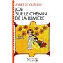 Job sur le chemin de la lumière (Espaces Libres - Spiritualités Vivantes)