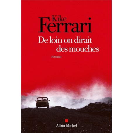 De loin on dirait des mouches