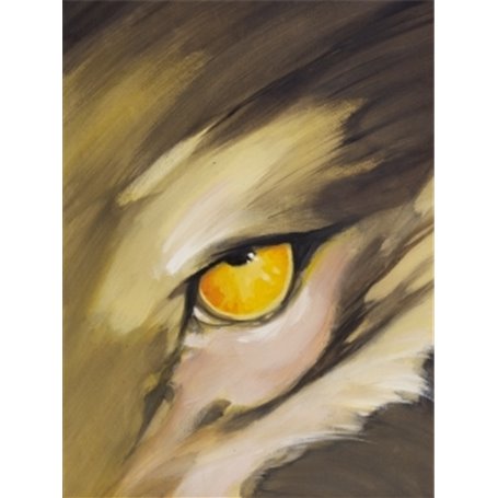 Meutes - Coffret T01 + album collector