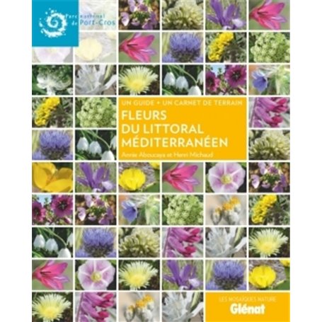 Fleurs du littoral méditerranéen