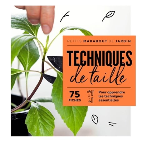 Techniques de taille