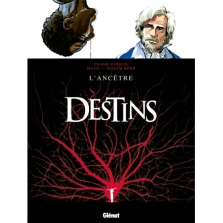 Destins - Tome 11