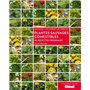 Plantes sauvages comestibles