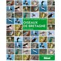 Oiseaux de Bretagne