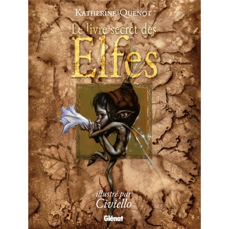 Le Livre secret des elfes