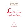 Le Cerveau en lumières