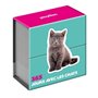Mini calendrier - 365 jours avec les chats
