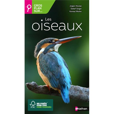 Les oiseaux