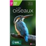 Les oiseaux