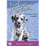 Les chiots magiques - numéro 05 Un anniversaire magique