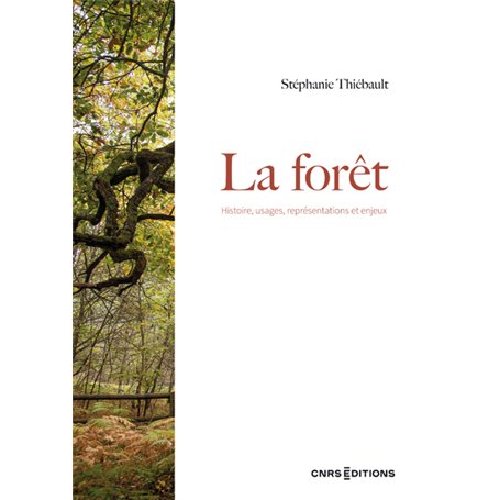 La forêt - Histoire, usages, représentations et enjeux