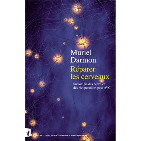 Réparer les cerveaux - Sociologie des pertes et des récupérations post-AVC