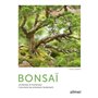 Bonsaï d'intérieur & d'extérieur - Comment les entretenir facilement