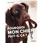 Pourquoi mon chien fait-il ça?