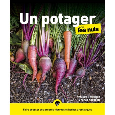 Un Potager pour les Nuls, grand format, 3e éd.