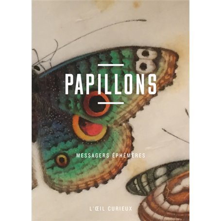 Papillons - Messagers éphémères - L'oeil curieux