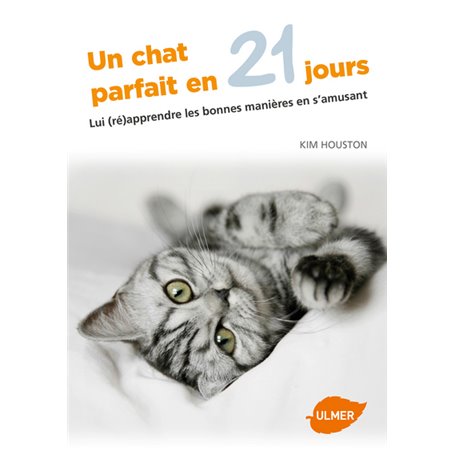 Un chat parfait en 21 jours - Lui (ré)apprendre les bonnes manières en s'amusant